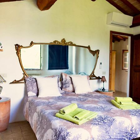 Agriturismo Quarantallina Buonconvento Eksteriør billede
