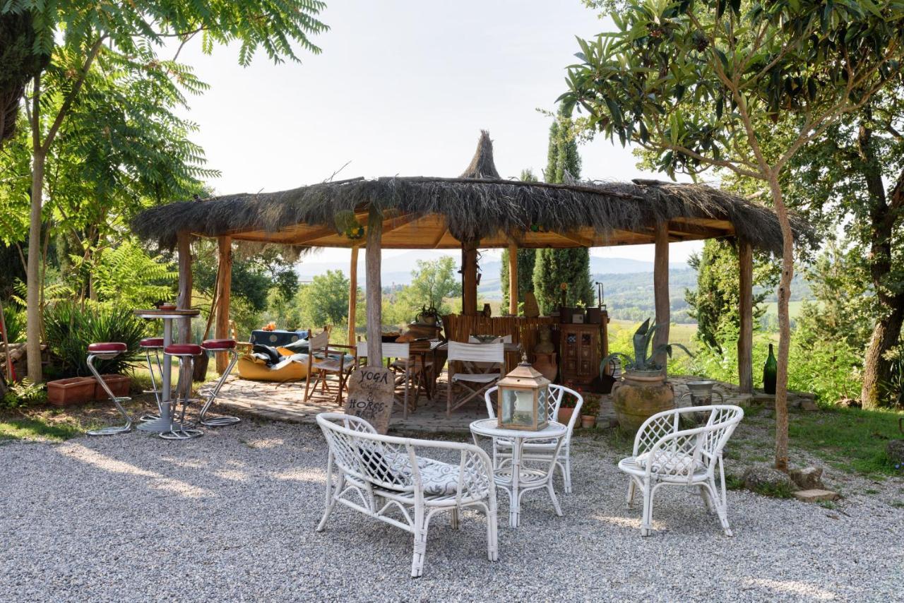 Agriturismo Quarantallina Buonconvento Eksteriør billede